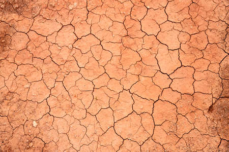 Dry, cracked ground into the dry season. Global warming and climate changeの写真素材