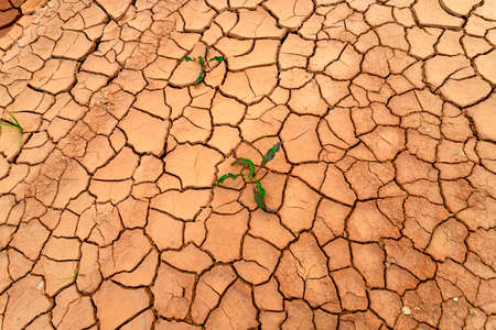 Dry, cracked ground into the dry season. Global warming and climate changeの写真素材