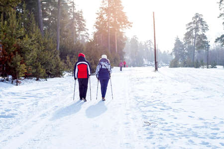 Two girls are walking in the winter forest with sticks. Nordic walking. Back viewの写真素材