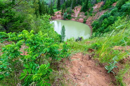 A green lake in the middle of the forestの写真素材