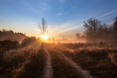 Mystic foggy landscape in the sunny morning in Russiaの写真素材