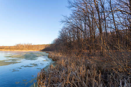 Frozen lake on an autumn dayの写真素材