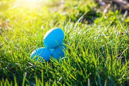 Easter blue eggs in green grass on a sunny dayの写真素材