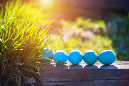 Easter blue eggs on wooden with green grass on a sunny dayの写真素材