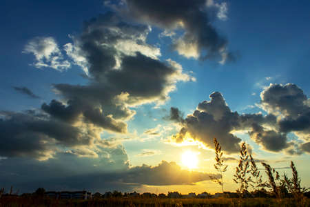 Sky background on sunset. Nature composition. Summer backgroundの写真素材