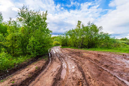 Dirt and clay on a forest road afther rain in Russiaの写真素材