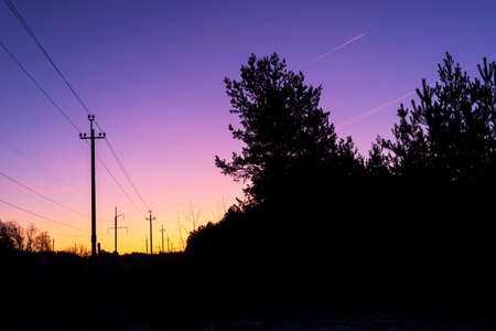 Silhouettes of trees against a pink and purple sunrise skyの写真素材