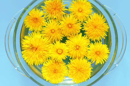 Spring background. Yellow dandelion flowers on light blue. Top viewの写真素材