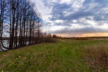 Nature awakening. Spring landscape with treesの写真素材