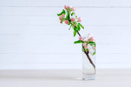 White blooming Apple tree branch in glass on light wooden backgroundの写真素材