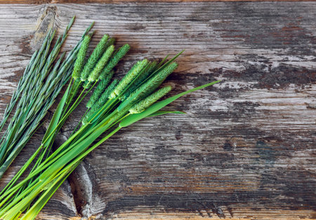 Fresh herbs on the old wooden background. Summer fresh conceptの写真素材
