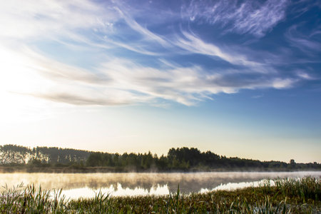 Sunrise over a swamp with fog and reeds. Sunny summer morningの写真素材