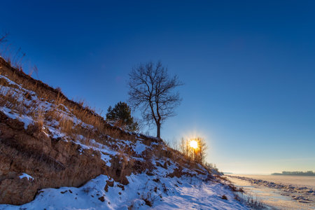 Winter landscape. Lonely tree on a steep river bank.の写真素材