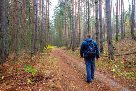 Young man with a backpack hiking through the woods. View from the back of a man walking through the forestの写真素材