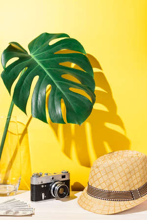 Monstera leaf in a glass vase, an old camera, money and a straw hat on a yellow background. Tourism and travel conceptの写真素材