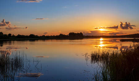 Golden summer sunset on the lake.の写真素材