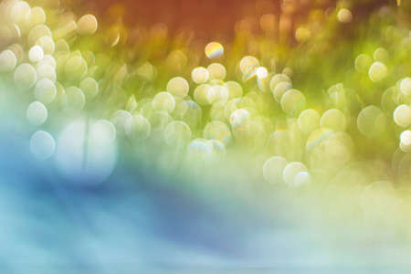 Spring summer background with beautiful bokehの写真素材