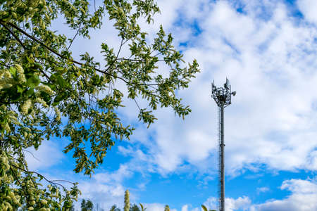 Bird cherry blossoms against the background of a cell tower and blue skyの写真素材