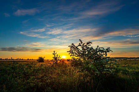 Beautiful summer sunrise in the meadows.の写真素材