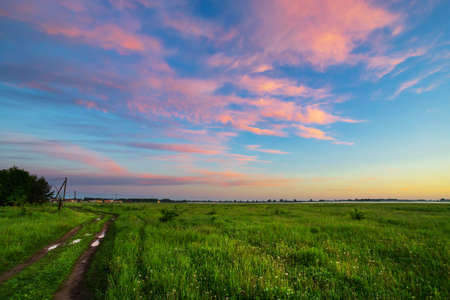 Beautiful summer sunrise in the meadows.の写真素材