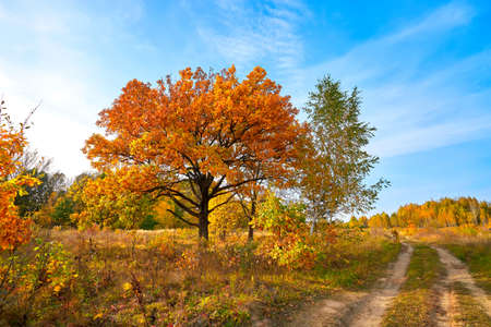 Autumn landscape. Beautiful sunny autumn dayの写真素材