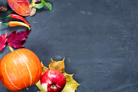 Harvest or Thanksgiving background with autumn fruits and gourds on rustic wooden table