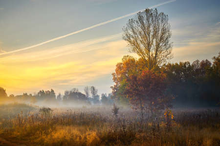 Autumn golden sunrise. Autumn in Russia. Sunny day.の写真素材