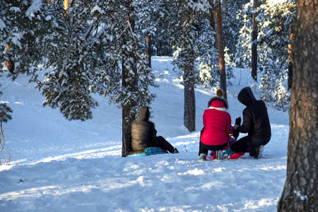 People and child in the forest ride sleds from a slide. Healthy lifestyleの写真素材