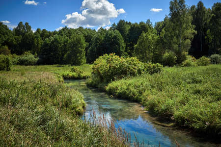 Forest river with transparent water. Forest river on a sunny summer dayの写真素材