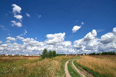 A field with grass in summer sunny dayの写真素材