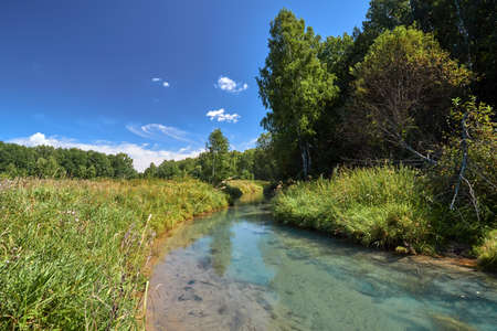 Forest river with transparent water. Forest river on a sunny summer dayの写真素材