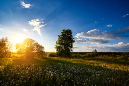 Happy new day concept. Stunning yellow meadow summer sunrise beautiful gold light backgroundの写真素材