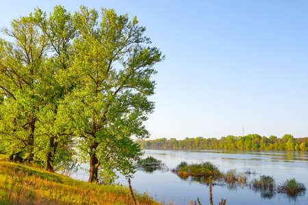 Spring flood on the Volga River. River spill in the spring sunny day.の写真素材