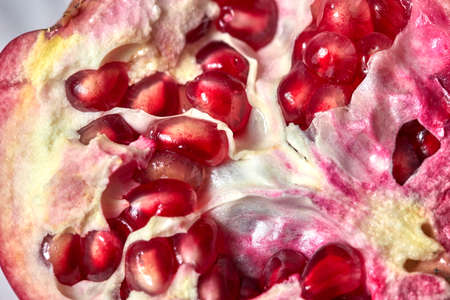 Red pomegranate berries closeup. Macro photo.の写真素材