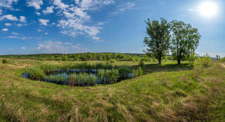 Beautiful spring landscape with a small lake in the meadows. Panorama.の写真素材