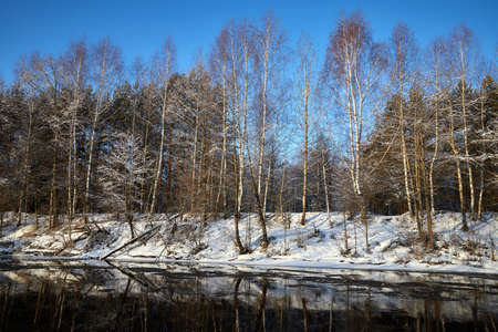 Ice drift on the river on a spring day in the forest near birch trees. Concept of spring floods.の写真素材