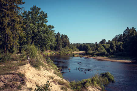 River on the sunny autumn or summer day at sunny weather.の写真素材