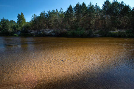 River on the sunny autumn or summer day at sunny weather.の写真素材