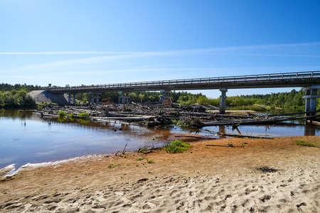 Blockage of dry trees on the river under the bridge.の写真素材