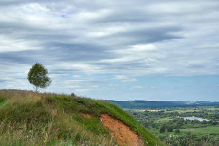 Sunny summer scene.Countryside landscape.Green field and growing birch. Russian landscape.の写真素材