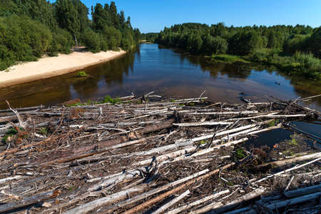 The river is blocked by fallen trees. A blockage on the river.の写真素材