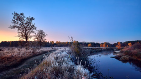 Sunrise on autumn frosty nature. Landscape of sunrise with frosty dry grass on the river.の写真素材