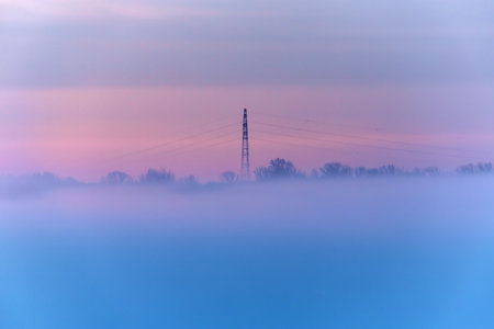 A mystical scenic view of a foggy field behind white blossoms, on an early winter day. Large...