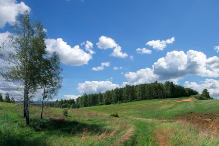 Green meadow with road under blue sky with cloudsの写真素材