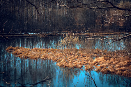 Sunny spring landscape. Landscape with melting snow and thawed patches in the forest. Forest pond in...