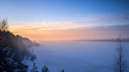Forest in winter covered by snow. Winter pines in the fog.の写真素材
