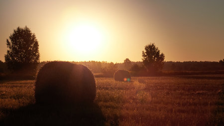 Hay bales in golden field under beautiful sky at sunset. Concept Harvesting.の写真素材