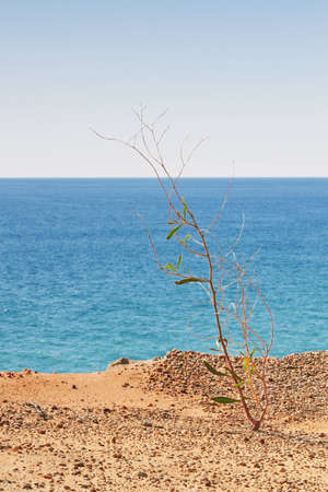 The branch of the beach on the coast Portugal.