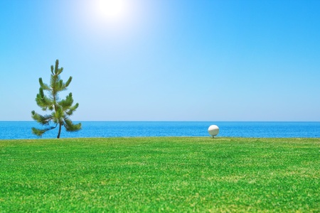 Golf ball near the tree on the background of the ocean  Portugal の写真素材