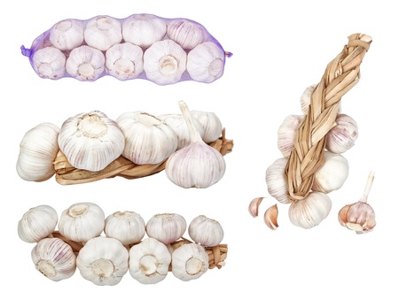 Group set of images heads of garlic. On a white background.の写真素材